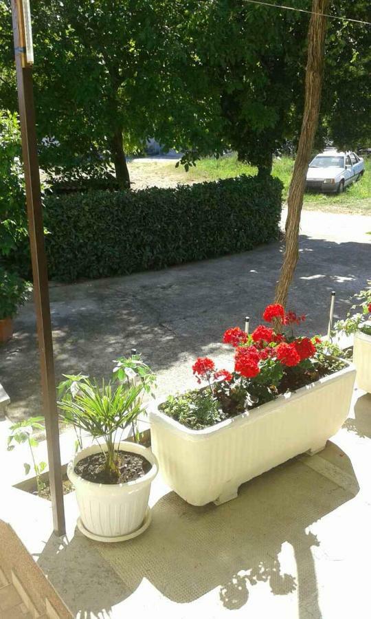 Apartman Danijela Zagorje 외부 사진