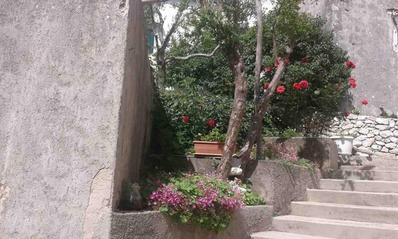 Apartman Danijela Zagorje 외부 사진